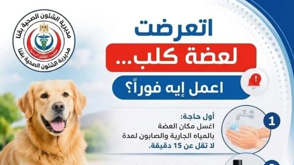 22 مركزًا في قنا للوقاية من السعار وتلقي المصل