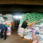 الشرقية تستقبل 543 ألف طن من القمح المحلي