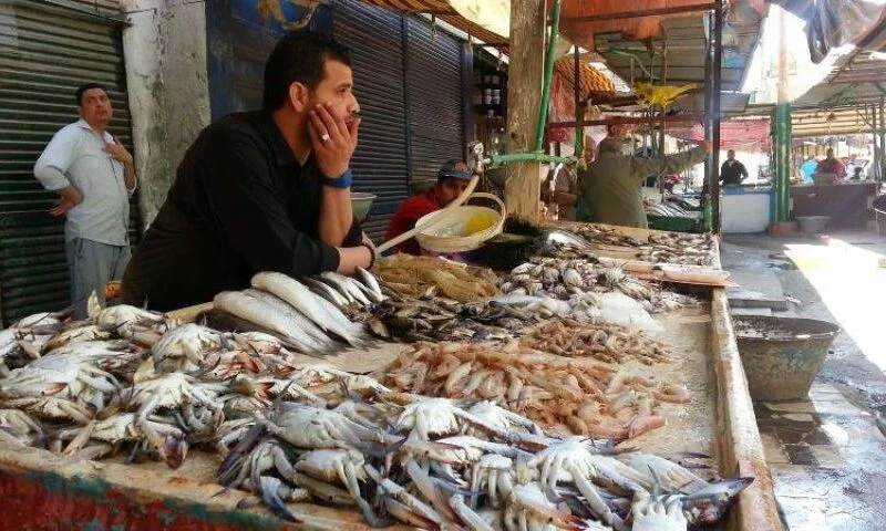 تباين أسعار الأسماك في السوق المصري اليوم