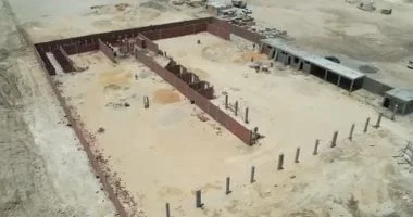 إنشاء أول مأوى علمي للكلاب الضالة بالتبين