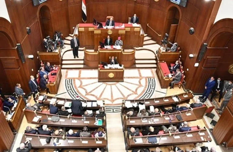 الدبلوماسية المصرية تعزز الأمن القومي العربي