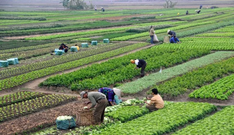 اليوم العالمي للتنوع البيولوجي ودعوة للحفاظ على الحياة