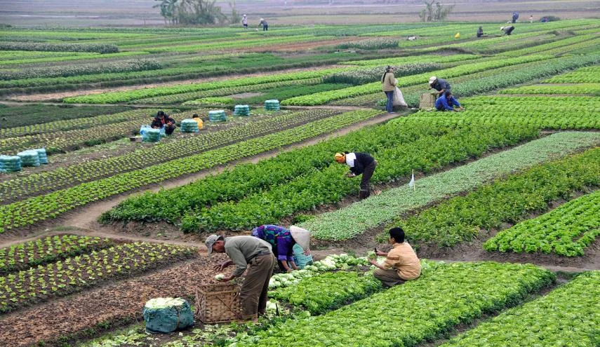 اليوم العالمي للتنوع البيولوجي ودعوة للحفاظ على الحياة