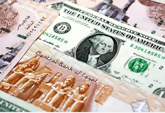 سعر الدولار اليوم مقابل الجنيه المصري