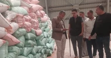 محافظ المنوفية: توريد 120 ألف طن من القمح حتى الآن