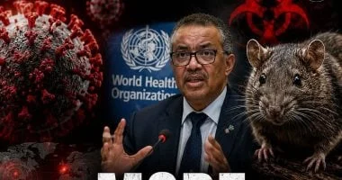 ارتفاع حصيلة إصابات فيروس هانتا إلى 12 حالة