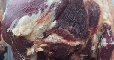 ضبط نصف طن لحوم فاسدة في المنوفية