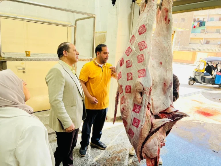 استعدادات مديرية الطب البيطري بالدقهلية لعيد الأضحى