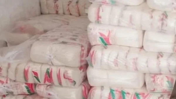 حملات تفتيشية تسفر عن تحرير 861 محضر مخالفات في المنوفية