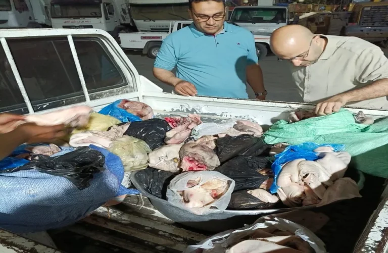 ضبط لحوم فاسدة وإجراءات ضد مخابز مخالفة بالمنوفية