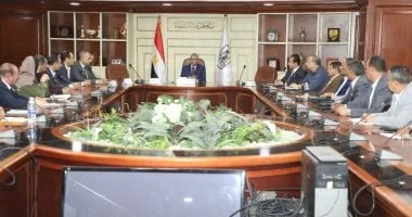 مبادرة المشروعات الخضراء الذكية في بني سويف