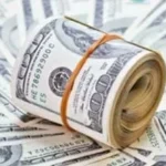 استقرار سعر الدولار أمام الجنيه المصري