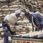 استقرار سعر الأسمنت في السوق المصري