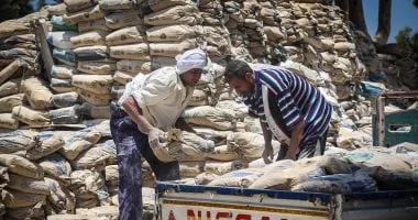 استقرار سعر الأسمنت في السوق المصري