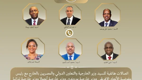 وزير الخارجية يبحث تعزيز العمل المشترك مع الاتحاد الأفريقي