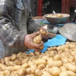 استقرار أسعار الخضروات والفاكهة في الغربية