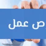 فرص عمل جديدة للشباب في 11 محافظة بمصر