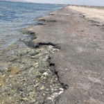 خلو شاطئ الجبيل من أي تلوث