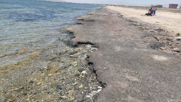 خلو شاطئ الجبيل من أي تلوث
