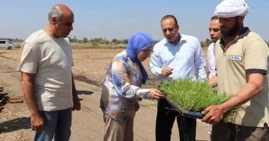 جامعة بنها تدشن موسم زراعة الأرز بمزرعتها البحثية