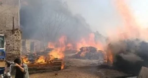 حريق في شونة كتان بالغربية وتدخل فوري للسيطرة عليه