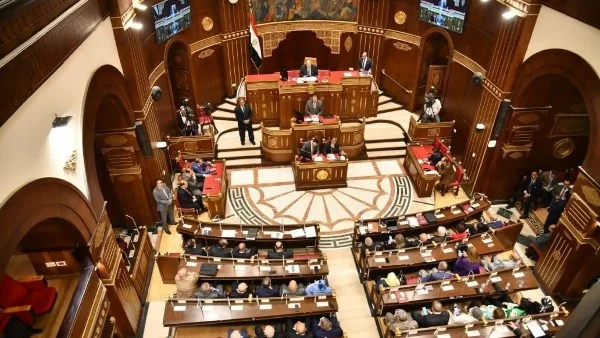 الزراعة الرقمية وتكامل التكنولوجيا في الإنتاج الزراعي