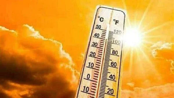 تفاصيل حالة الطقس: شبورة ورياح محملة بالرمال