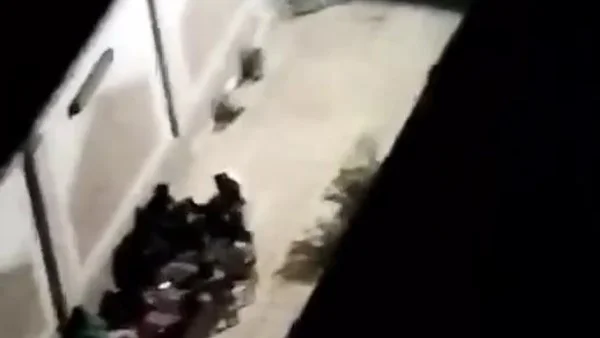 تفاصيل فيديو الأغاني داخل مسجد بورسعيد