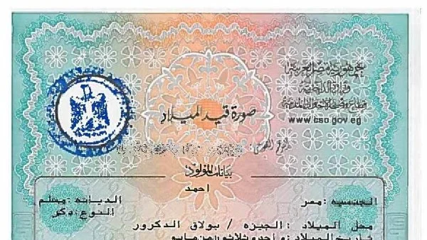 استخراج شهادة ميلاد إلكترونياً في دقائق