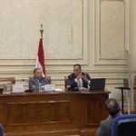 دعم رقمنة وثائق الخارجية المصرية لحفظ الذاكرة الوطنية