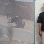 حبس طالب ووالده في حادث دهس بائعة شاي بأهرامات الجيزة