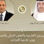 وزير الخارجية المصري يبحث مع نظيره الإماراتي العلاقات الثنائية