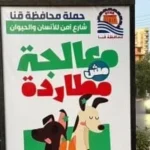 قنا تطلق حملة توعية لنشر ثقافة التعامل مع الكلاب الضالة