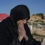 جهود مصر في دعم القضية الفلسطينية