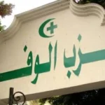 تعيين ماجد نور رئيسًا للجنة الوفد للمصريين بالخارج