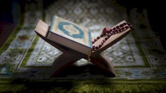 الجانب البلاغي في آية الطوفان بالقرآن