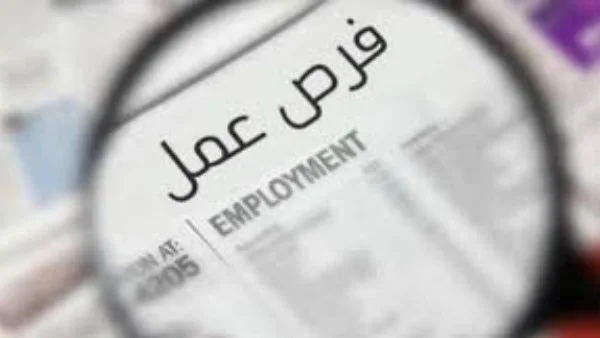 فرص عمل للشباب برواتب تصل إلى 25 ألف جنيه