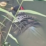 مصرع شاب غرقا في ترعة نجع حمادي بسوهاج