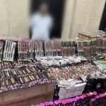 عقوبة مشددة لعصابة الشماريخ بالإسكندرية وكفر الشيخ