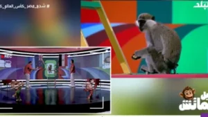 توقعات مباراة مصر ونيوزيلندا في كأس العالم 2026