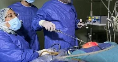 شروط قانونية لمنح التزام المرافق العامة للمنشآت الصحية