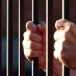 استئناف حكم حبس عاطلين بتهمة سرقة بالإكراه