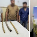 مشاجرة بالعصا في البحيرة واعتقال المتورطين
