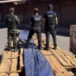 50 طناً من الكوكايين في أكبر عملية تهريب بالبرازيل
