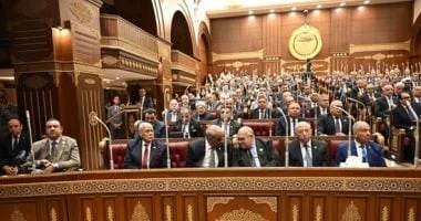إحالة تقارير اللجان النوعية لمجلس الشيوخ للحكومة
