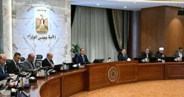 مدبولي: الصفر مستحقات لشركاء الاستثمار في البترول والغاز