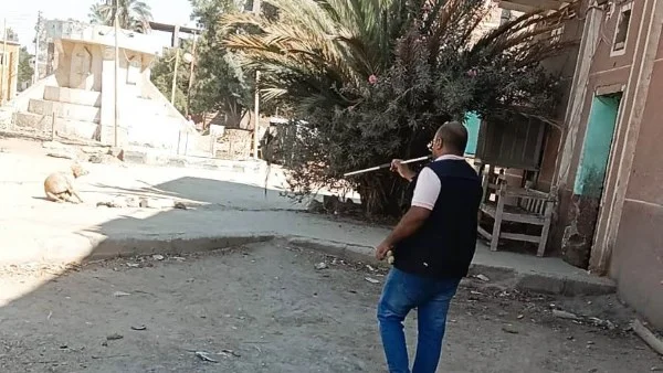 تحصين الكلاب الحرة للحفاظ على صحة المواطنين في أسوان