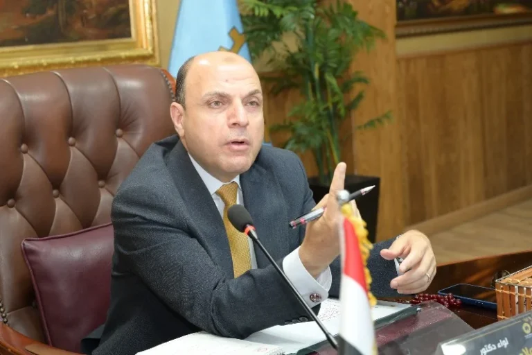 دعوة الطلاب للتسجيل في مبادرة "رواد مصر الرقمية"