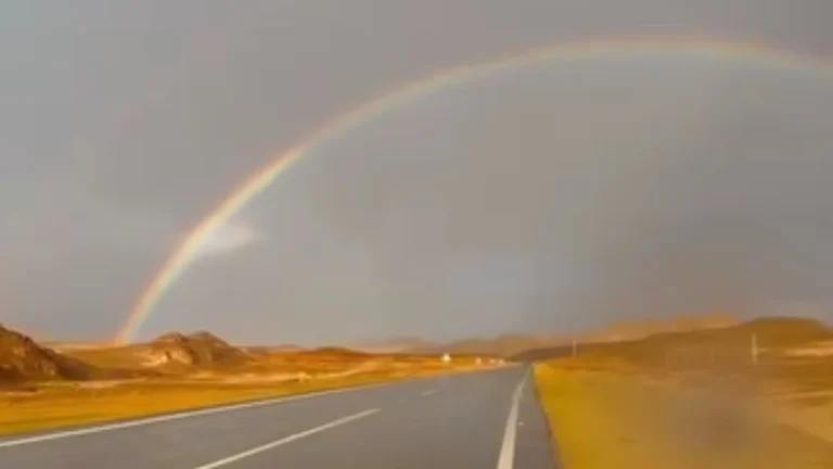 قوس قزح: ظاهرة بصرية فريدة لكل مشاهد