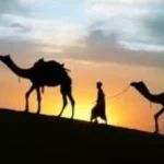 موكب الهجرة النبوية في 17 يونيو واحتفالية كبرى